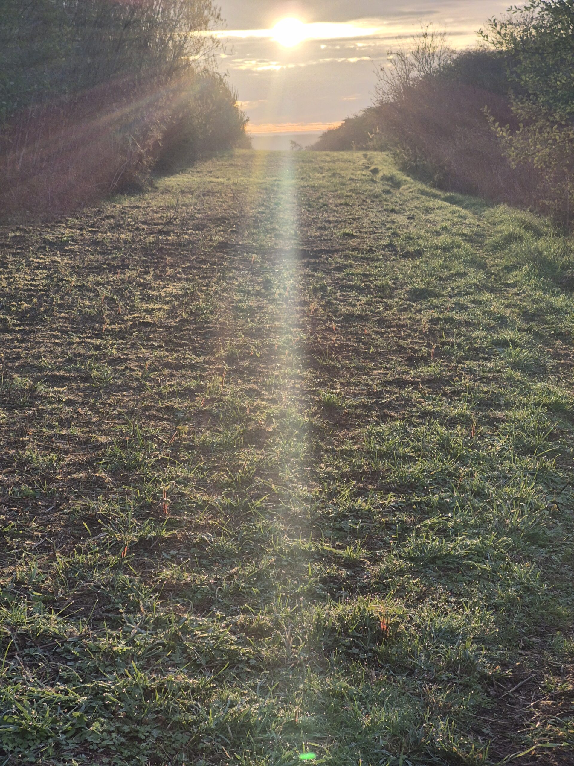 My First Wild Camp in 2 Years